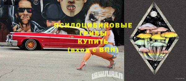 прущая мука Новодвинск