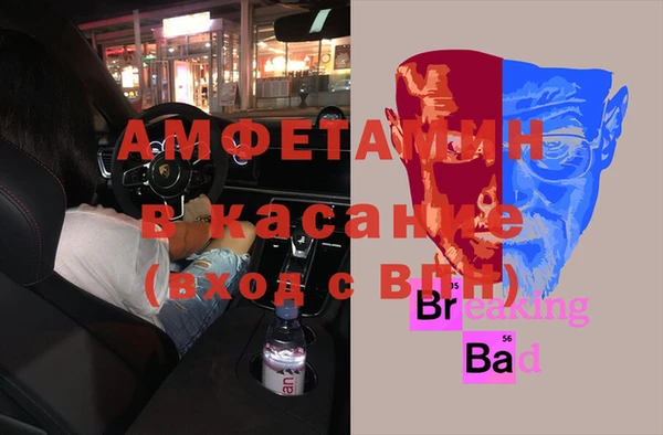 мдпв Вяземский