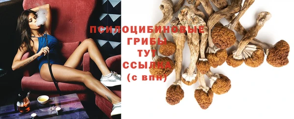 spice Валуйки